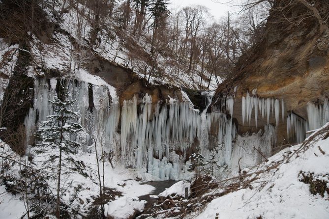 Art of Ice `` Nanajo Shichijo Otaki Snowshoe Tour Difficulty (Medium) - Booking Details