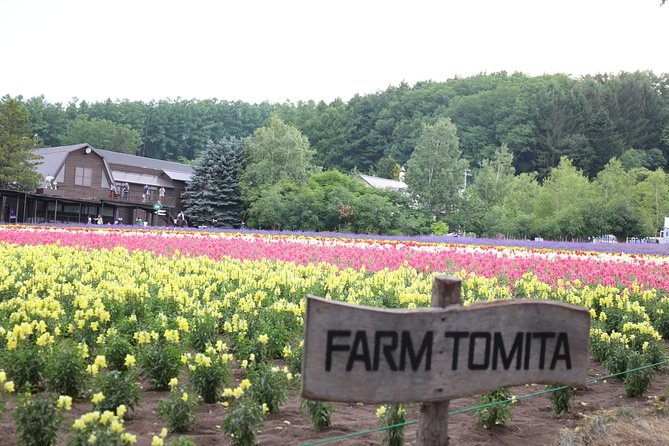 Asahiyama Zoo, Aoiike, Farm Tomita, Ningle Terrace (from Sapporo) - Customer Experiences