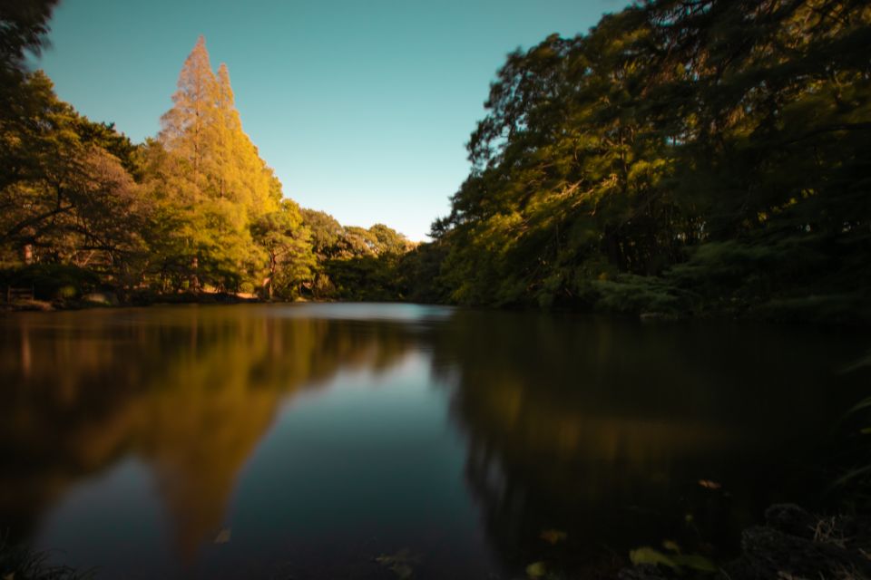 Audio Guide Tour: Deeper Experience of Shinjuku Sightseeing - Customer Reviews