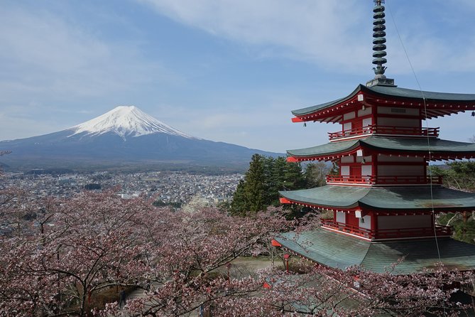 Barrier-Free Private Mt. Fuji Tour for Wheelchair Users - Accessibility and Participation