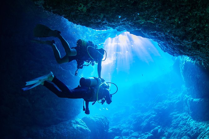 Blue Cave Experience Diving [Charter System / Boat Holding] | I Am Very Satisfied With the Beautiful Facilities of the Shop - Reviews and Testimonials Highlight