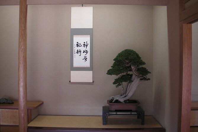 Bonsai and Washi Museum Visit in Tokyo - Accessibility and Restrictions