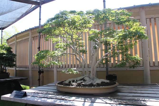 Bonsai Museum & Bonsai Experience - Additional Information