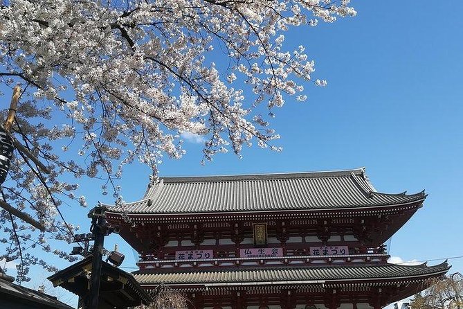 Cherry Blossom Highlights, Asakusa, Ueno, Imperial Palace Garden - Customer Reviews and Feedback