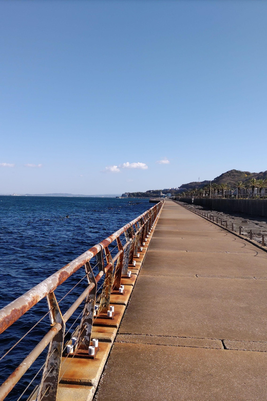 Discover Priceless Yokosuka in Special One-Day Walking Tour - Highlights