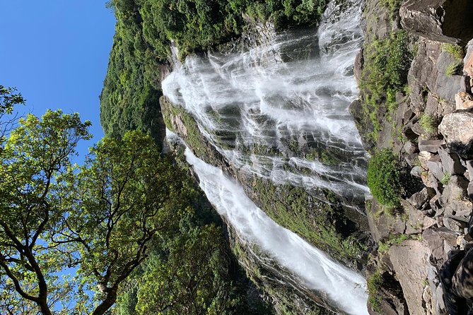 Discovery of Yakushima - Scenic Beauty and Natural Wonders