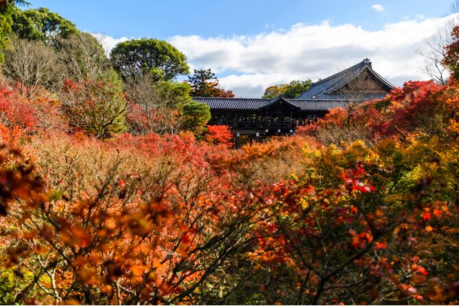 Early Bird E-Biking Through East Kyoto - Cancellation Policy