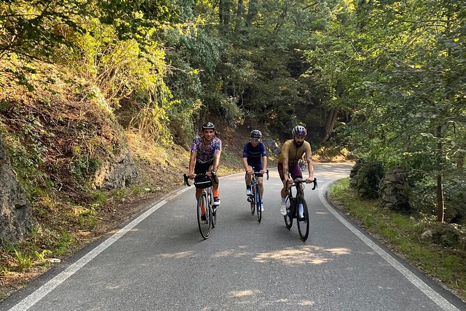 English/Italian Guided Cycling Tour in Tokyo - Recap