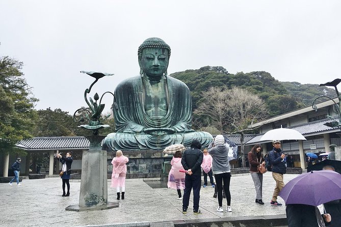 Exciting Kamakura - One Day Tour From Tokyo - Guide Experience