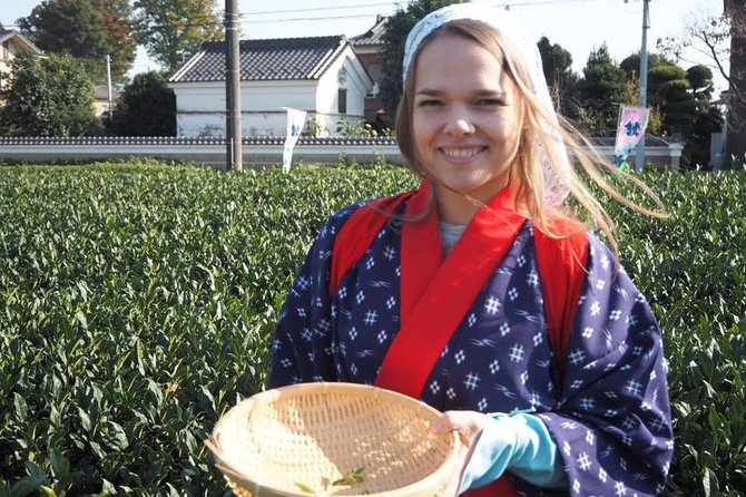 Experience Seasonal Green Tea Picking in Sayama and Nostalgic Walk in Kawagoe! - Pricing and Reviews