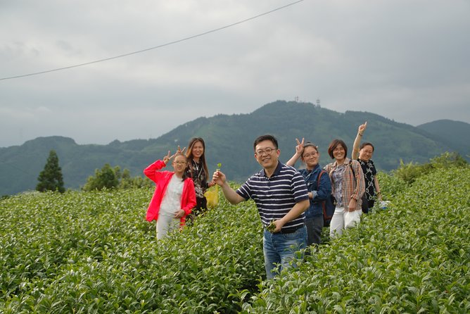 Experience Tea Picking With a Tea Farmer, and Tempura Lunch With Picked Tea Leaves - Location and Main Menu Details