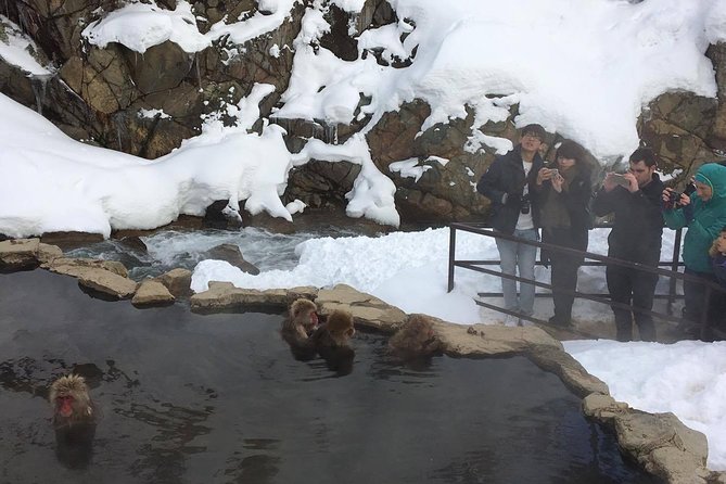 Explore Jigokudani Snow Monkey Park With a Knowledgeable Local Guide - Additional Info