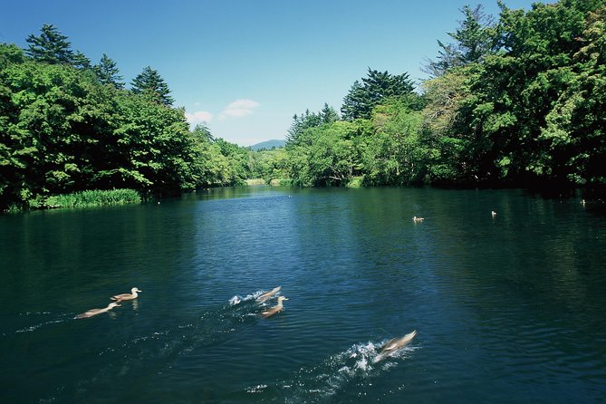 ~Exploring the Nature and Sightseeing Spots of Karuizawa~ Forest Bathing Cycling - What to Expect