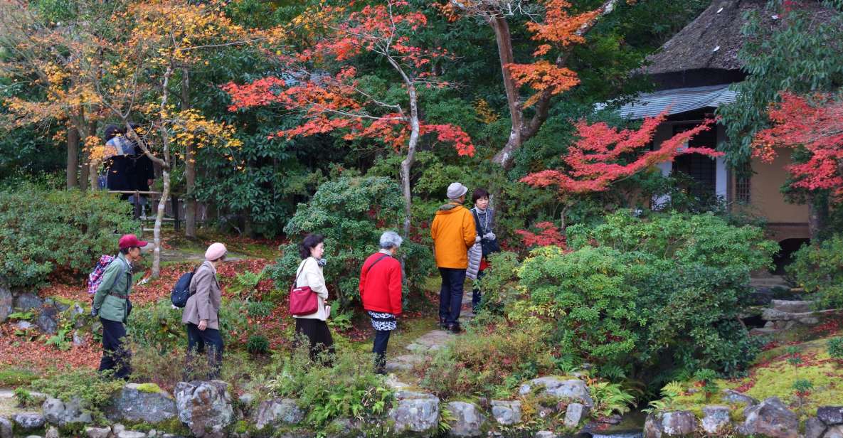 From Kyoto or Osaka: Private Walking Tour Through Nara - Activity Description