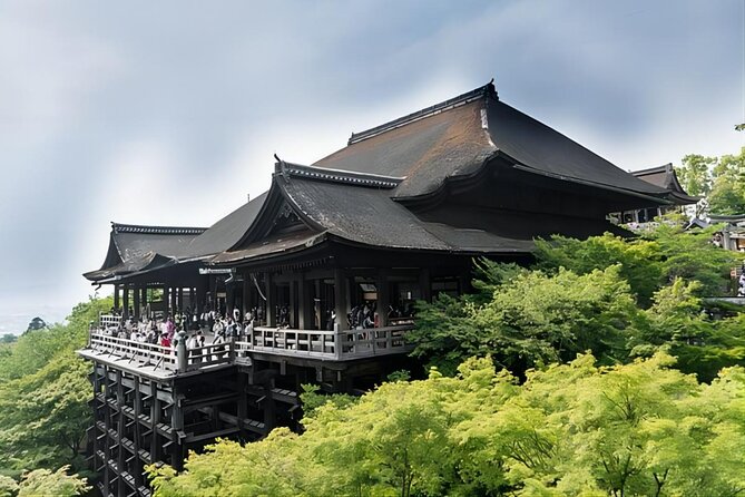 From Osaka: 10-hour Private Custom Tour to Kyoto - Transportation Details