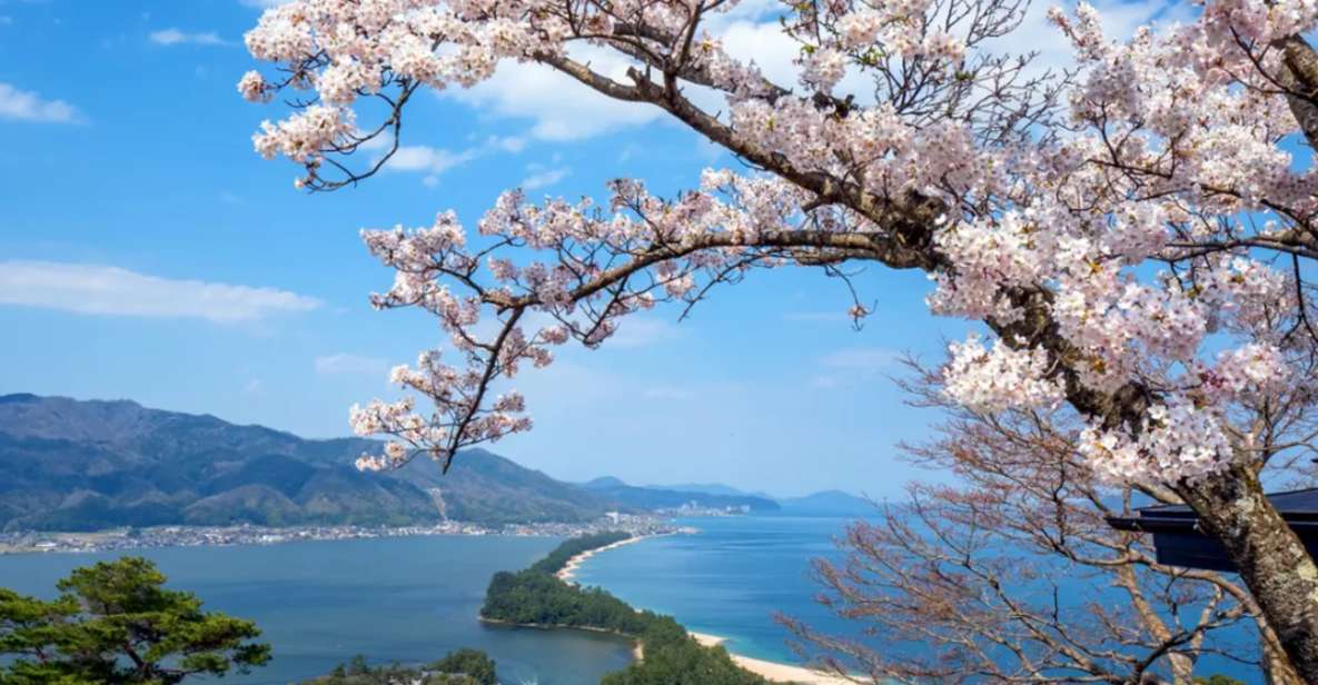 From Osaka: Miyama Village, Ine Bay & Amanohashidate Tour - Experience