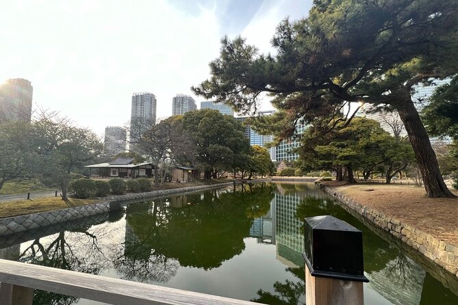 From Shimbashi to Hama Rikyu Gardens Walking Tour - Expectations and Requirements