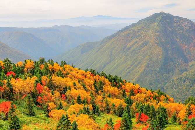 From Takayama: Alpine Splendor - Shinhotaka Ropeway and Kamikochi - Additional Tour Info