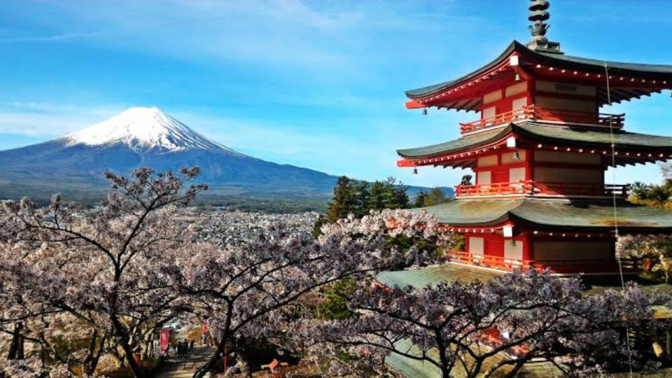 From Tokyo: Customizable Mount Fuji Full-Day Private Tour - Highlights