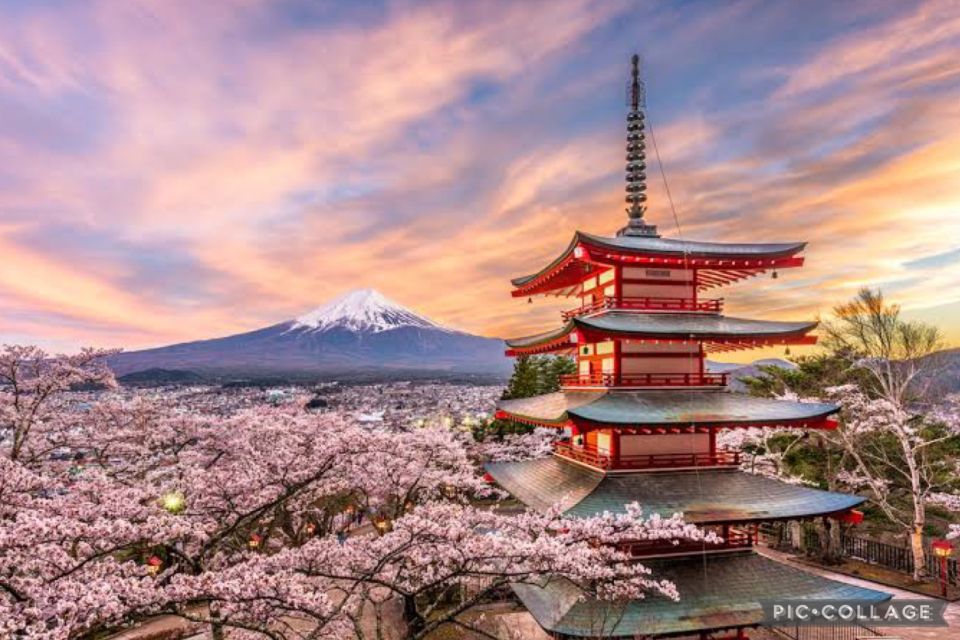 From Tokyo/Hakone/Fuji: Hakone & Mt. Fuji Day Trip W/Pickup - Customer Reviews
