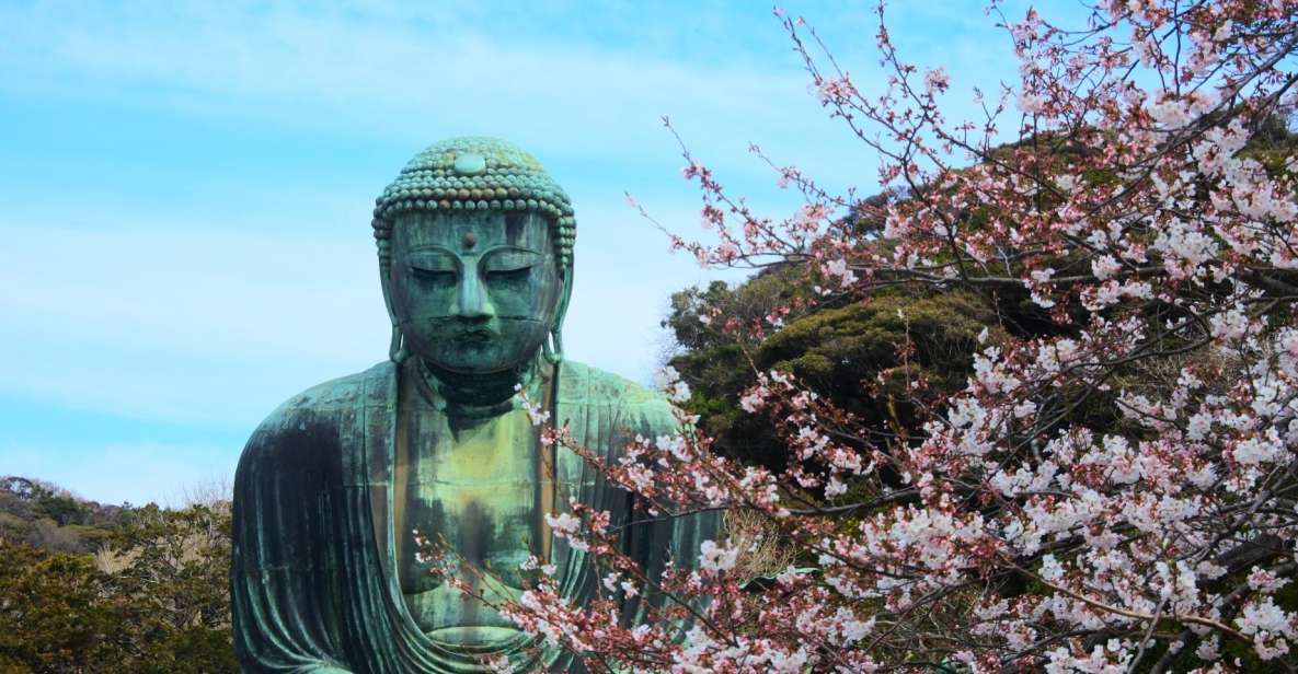 From Tokyo: Kamakura and Enoshima 1-Day Bus Tour - Price and Inclusions