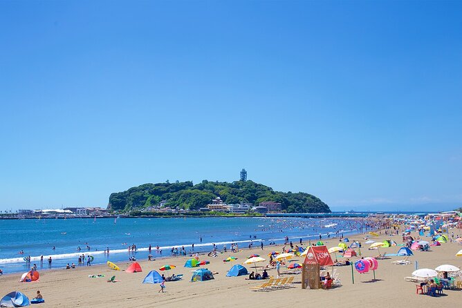 From Tokyo: Kamakura & Enoshima - One Day Trip - Traveler Reviews and Feedback