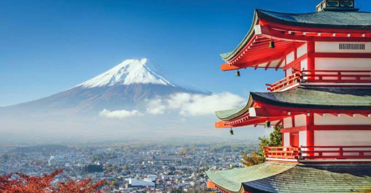 From Tokyo: Mount Fuji Full Day Private Tours English Driver - Language Options and Pickup Locations
