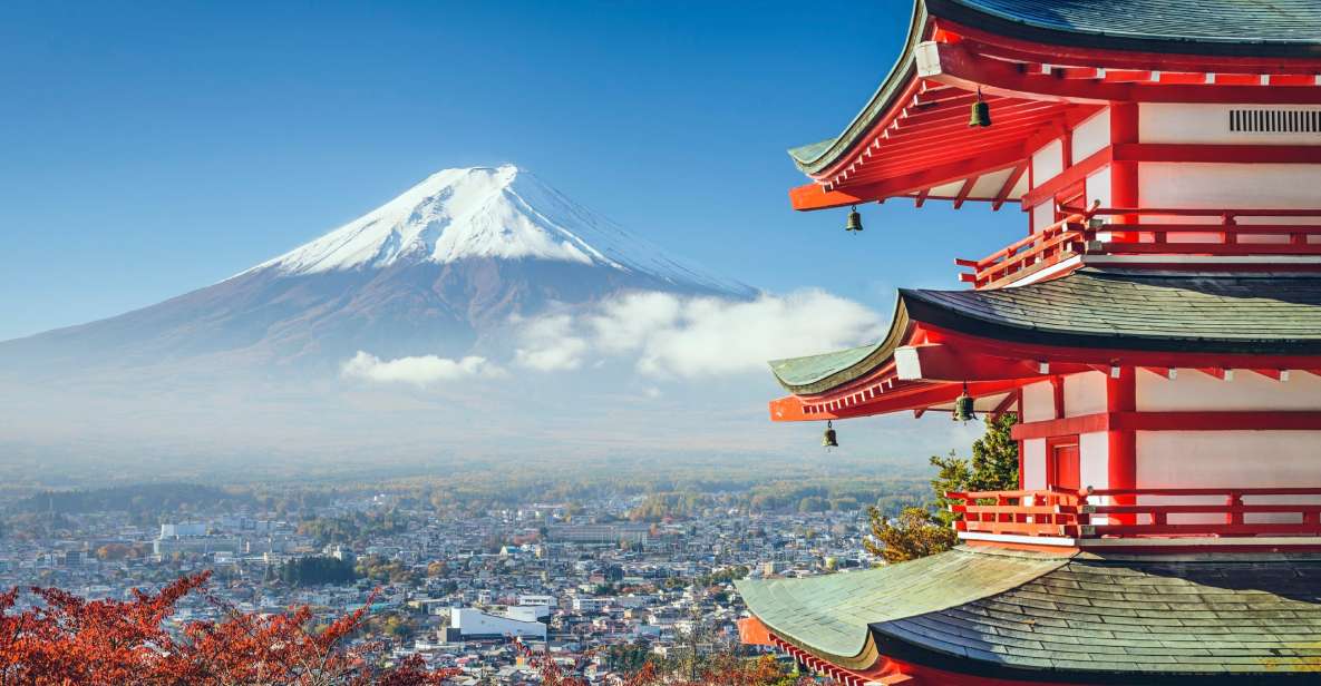 From Tokyo: Mount Fuji Private Day Tour - Inclusions and Amenities