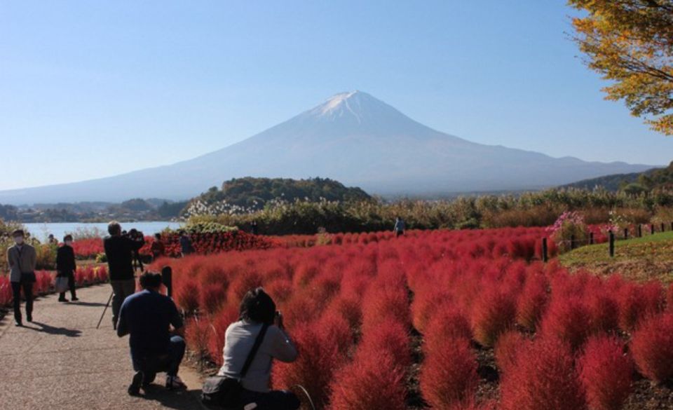 From Tokyo: Mount Fuji Private Sightseeing Day Trip - Highlights