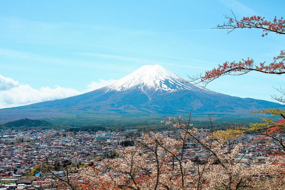 From Tokyo: Mt. Fuji Full-Day Sightseeing Trip - Itinerary