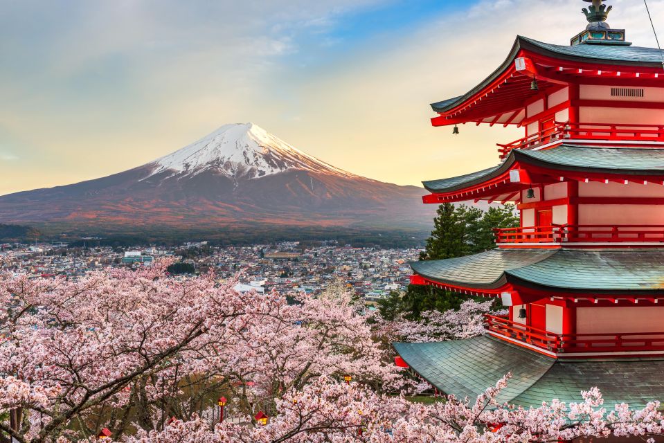 From Tokyo: Mt. Fuji or Hakone Private Sightseeing Day Trip - Highlights