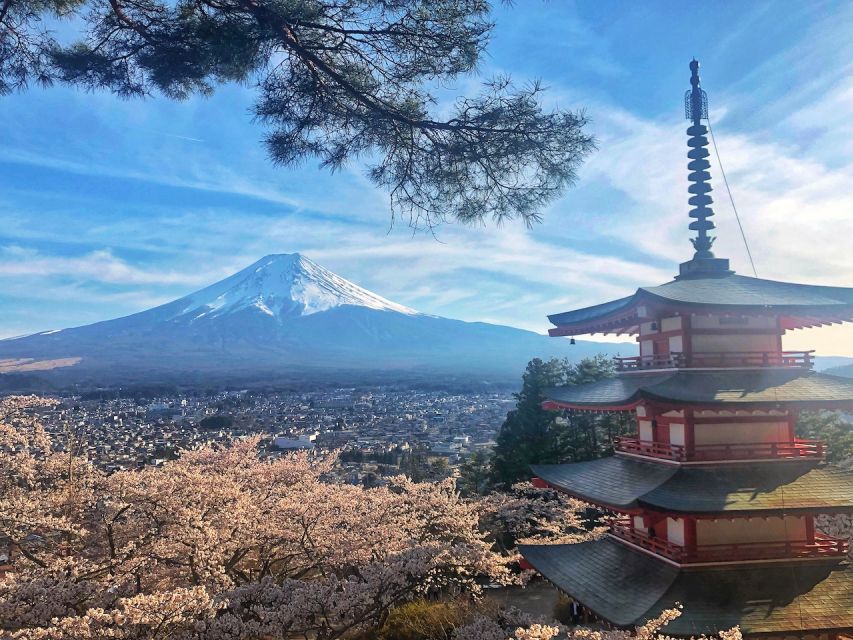 From Tokyo: Private Trip to Mount Fuji and Lake Kawaguchi - Customer Reviews