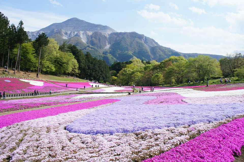 From Tokyo: Seibu Railway 1 Day Pass and Nagatoro - Inclusions