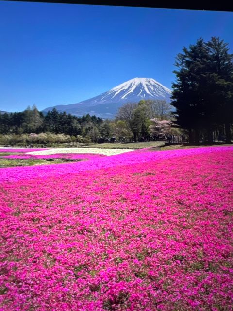From Tokyo/Yokohama: Mount Fuji Private Tour With Pickup - Tour Highlights
