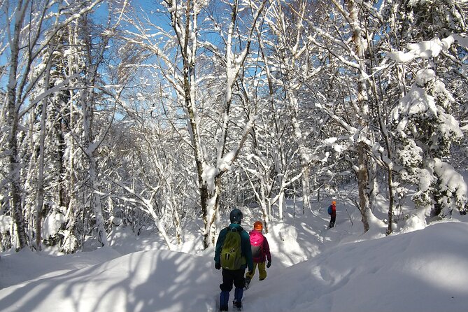 Frozen Fall Trekking - Easy Meetup at Hida-Osaka Station