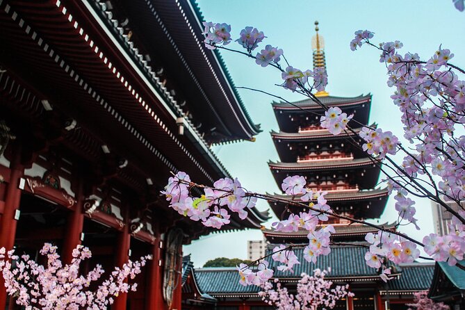 Full Day Kyoto and Nara Guided Tour - Additional Info