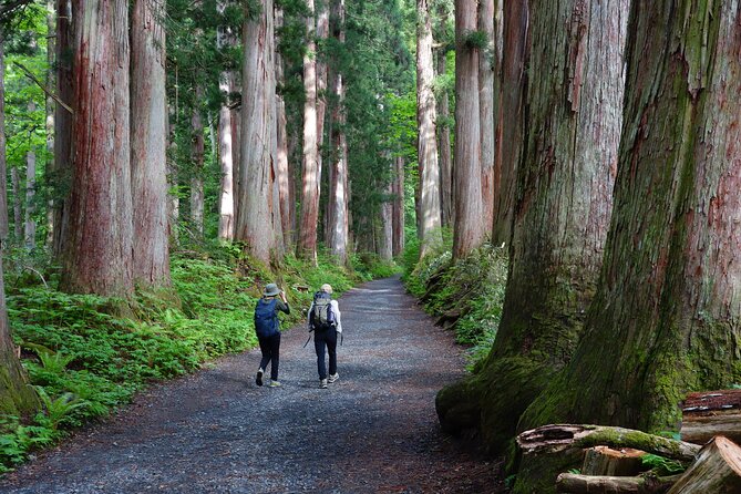 Full Day North Nagano Hiking Experience - Meeting and Pickup