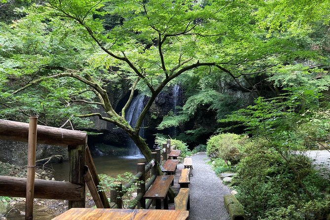 Full-Day Private Adventure in Ibaraki and Fukuroda Waterfalls - Pricing and Policies