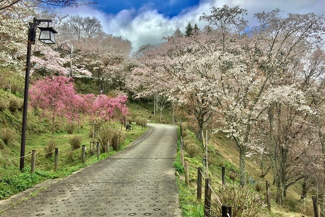 Full-Day Private Guided Tour in a Japanese Mountain: Yoshino, Nara - Cancellation Policy