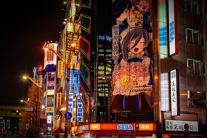 Full-Day Private Guided Tour in Tokyo - Customization Options