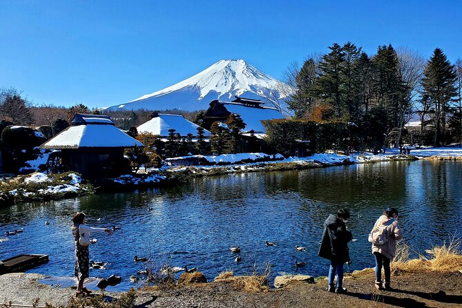 Full Day Private Guided Tour Mt. Fuji and Hakone - Additional Information