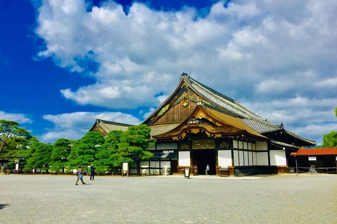 Full-Day Private Guided Tour to Kyoto City - Accessibility Information