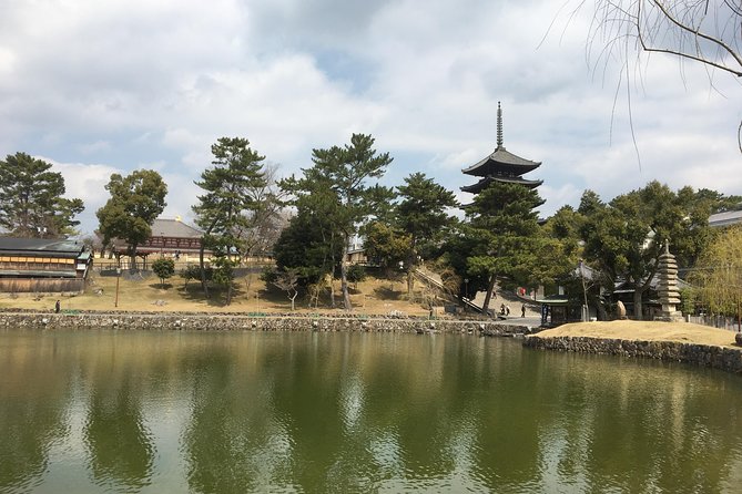 Full-Day Private Guided Tour to Nara Temples - Meeting and Pickup Details