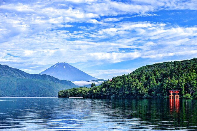 Full Day Private Tour in Hakone - Operator and Cancellation Policy