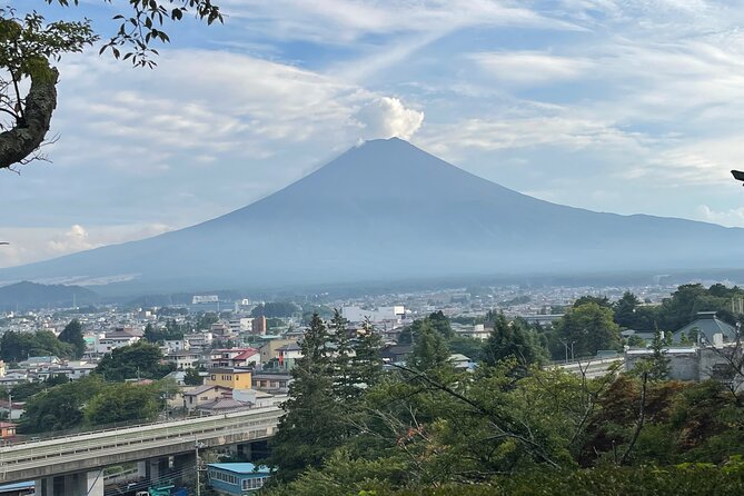 Full Day Private Tour in Mount Fuji and Hakone - Whats Included