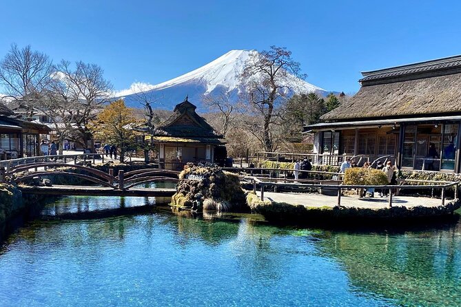 Full Day Private Tour of Mt Fuji and Hakone - Kimono Rental