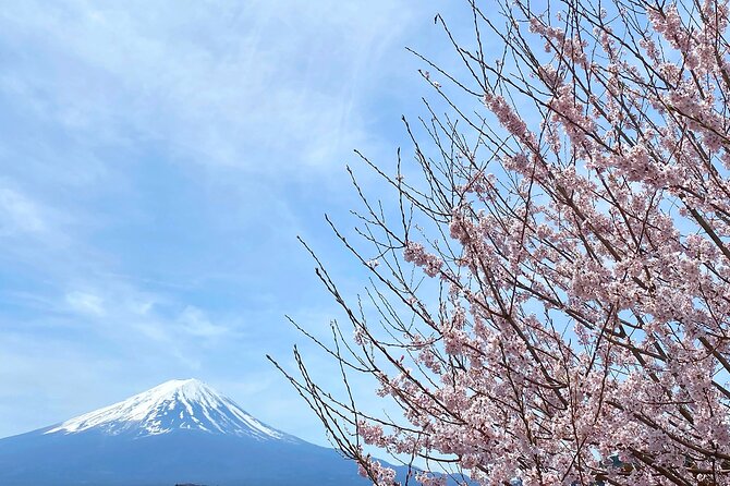 Full Day Private Tour to Mt Fuji by Luxury Vehicle - Booking