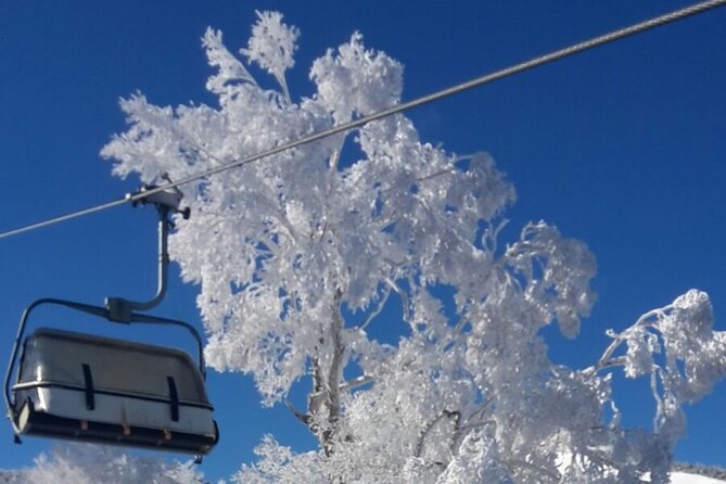 Full Day Ski Lesson (6 Hours) in Yuzawa, Japan - Price