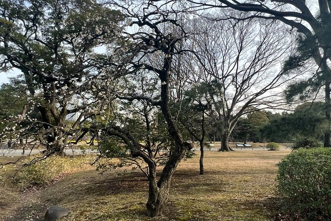 Guided Walking Tour in Hama Rikyu Gardens - What To Expect and Cancellation Policy