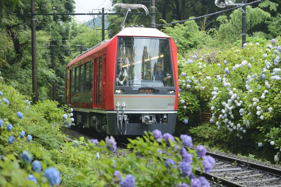 Hakone and Kamakura: 3-day Rail Pass - Booking Information for the Rail Pass